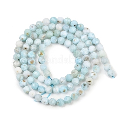Larimar Naturperlen Stränge&nbsp;G-B175-D08-4mm