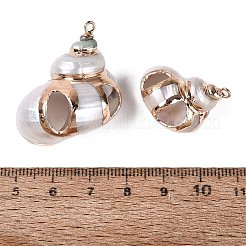 Galvanisierte&nbsp;SSHEL-Q101-04