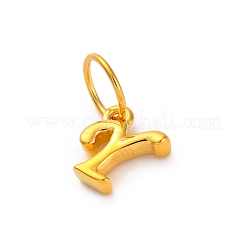 925 breloque lettre en argent sterling avec anneaux de jonction&nbsp;LS-STER-R008-01G-Y
