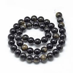 Chapelets de perles en obsidienne dorée naturelle&nbsp;G-R446-16mm-22