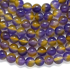 Chapelets de perles en jade de malaisie naturelle&nbsp;G-B165-C04-10mm
