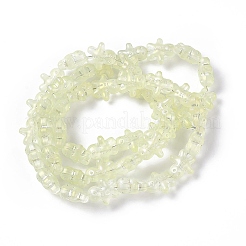 Perles de verre galvanoplastiques plaquées arc-en-ciel&nbsp;GLAA-P005-FR05