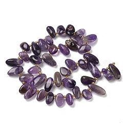 Natürlichen Amethyst Perlen Stränge&nbsp;G-P604-A16-01