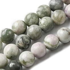 Natürliche Frieden Jade Perlen Stränge&nbsp;G-E598-04B