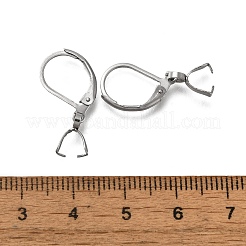 304 Edelstahl-Ohrring-Beschläge mit Klappverschluss&nbsp;STAS-P370-03P