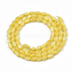 Naturali di acqua dolce perline shell fili&nbsp;SHEL-N003-25-B05