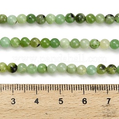 Natur Serpentin Perlen Stränge&nbsp;G-Z110-C04-4mm