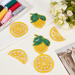 6 pezzo di ricamo in poliestere con tema frutta in 3 stili&nbsp;DIY-CY0003-61