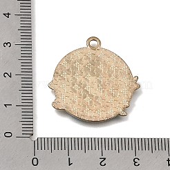 Legierung mit Emaille-Anhängern&nbsp;AL-CBA91FD-01C