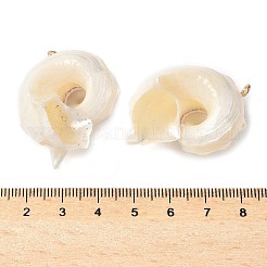 Pendenti naturali di guscio di mare&nbsp;SSHEL-C013-03