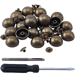 20 Beutel mit Legierungsbolzen und -nieten&nbsp;FIND-CL0002-03AB