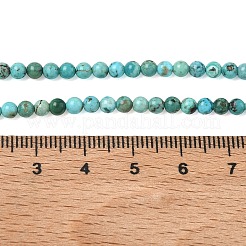 Natur hubei türkisfarbenen Perlen Stränge&nbsp;G-P629-D01-01