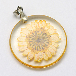 Pendentifs en résine d'alliage&nbsp;X-RESI-S321-06