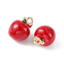 Messing Emaille Anhänger / charms&nbsp;KK-G462-37LG