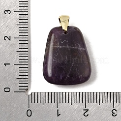Anhänger aus natürlich gebändertem Amethyst&nbsp;G-C282-03K