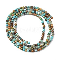 Natürliche afrikanische türkis (jasper) perlen stränge&nbsp;X-G-K366-G01-2mm