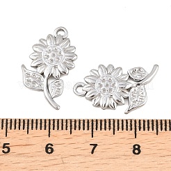 Pendentifs en acier inoxydable 304&nbsp;STAS-K322-01P
