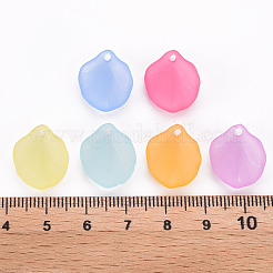 Transparent gefrostetem Acryl-Anhänger&nbsp;MACR-S371-02A