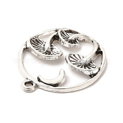 Pendentifs en alliage&nbsp;FIND-C023-01AS