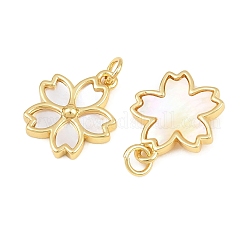 Ottone con pendenti a forma di conchiglia bianca&nbsp;CU-CBA9482-04G-03
