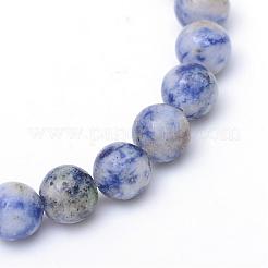 Fili di perline di diaspro spot blu naturale tinti tondi&nbsp;G-R345-6mm-14