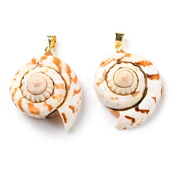 Natürliche Spiralmuschel-Rotlippen-Muschelanhänger&nbsp;SSHEL-R145-06