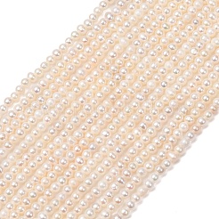 Fili di perle di perle d'acqua dolce coltivate naturali&nbsp;PA-CBABE82-08B