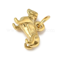 Anhänger aus Edelstahl 304&nbsp;STAS-P391-01A-G
