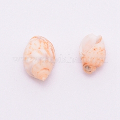 Perle di conchiglia naturali&nbsp;SSHEL-WH0001-33
