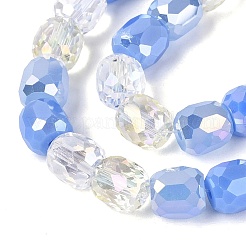 Perles de verre de styles variés&nbsp;EGLA-N022-13A-A06