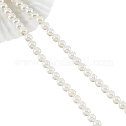 Fili di Perle di vetro&nbsp;SHEL-WH0001-009B-1