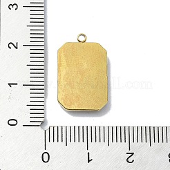 Pendentifs en acier inoxydable 304 avec placage ionique (IP)&nbsp;X-STAS-B058-18G-01