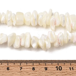 Fili di perline di conchiglia madreperla bianca naturale&nbsp;G-M205-63