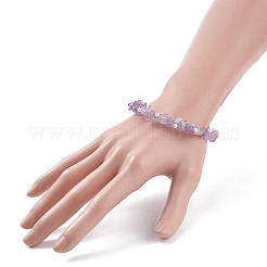 Pulsera de cuentas de amatista lavanda natural con cuentas y perla de concha&nbsp;BJEW-TA00078-02