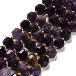 Natürlichen Amethyst Perlen Stränge&nbsp;G-P568-B01-01