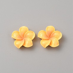 Cabochons di opaco resina&nbsp;RESI-WH0036-10B