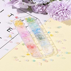 19.2 g 12 Farben mattierte transparente Acrylperlen&nbsp;OACR-FS0002-18
