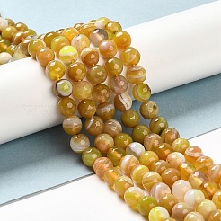 Chapelets de perles en agate à rayures naturelles/agates à bandes&nbsp;G-A246-6mm-15