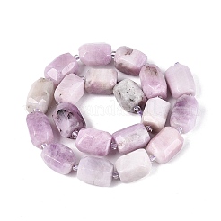 Naturperlen Stränge kunzite&nbsp;G-N362-07A-08