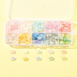 300 Stück 10 Farben mattierte Acryl-Anhänger&nbsp;OACR-FS0004-09