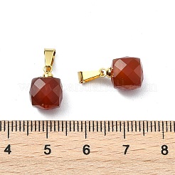 Natürlichen Karneol Anhänger&nbsp;PALLOY-JF05312
