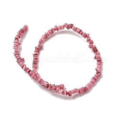 Shell perle naturali di acqua dolce&nbsp;SHEL-B003-01K