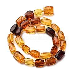 Brins de perles d'ambre naturel de couleur dégradée&nbsp;G-F803-D01-03