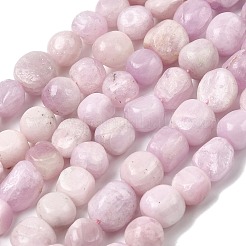 Naturperlen Stränge kunzite&nbsp;G-P601-A14-03
