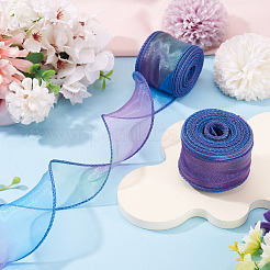 2 Rolle Polyester-Netzbänder&nbsp;SRIB-TA0003-42A