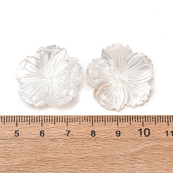 Natürliche weiße Muschel-Cabochons geschnitzt&nbsp;SHEL-G024-05