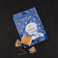 Kits de fabrication de bijoux à chaîne torsadée DIY&nbsp;DIY-SC0014-51A