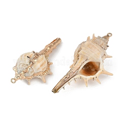 Pendenti shell naturale&nbsp;SHEL-K009-01E