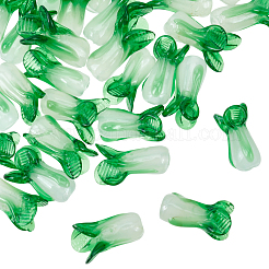 30 Stück handgefertigte Bunte Malerei-Perlen&nbsp;LAMP-OC0001-31