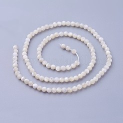 Natürlichen Muschelperlen Stränge&nbsp;X-G-F619-27-3mm